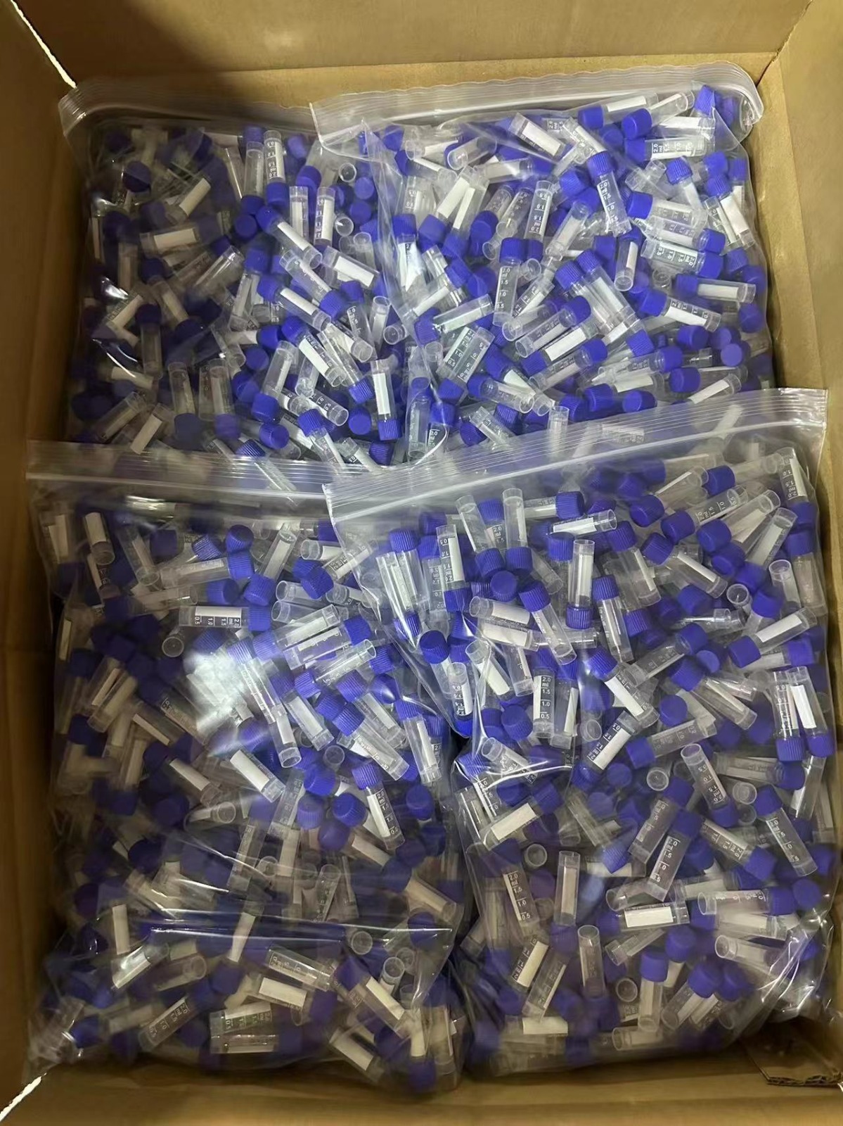 WhatsApp Image 2025-08-16 at 7.14.04 AM