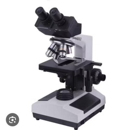 Microscope binoculaire