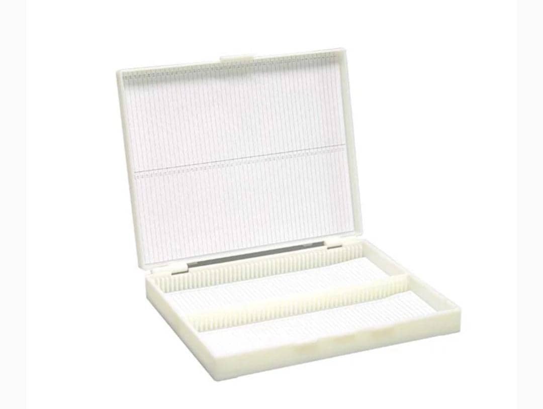 WhatsApp Image 2025-09-19 at 8.54.00 PM